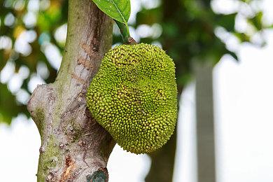 前IW组开发者：《使命召唤》系列创意枯竭了！